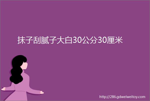 抹子刮腻子大白30公分30厘米