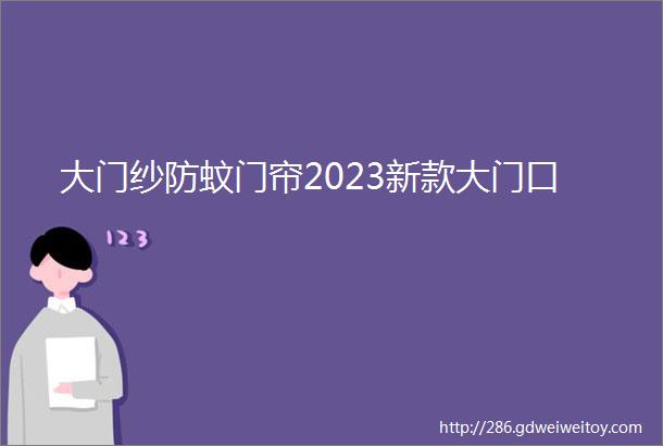 大门纱防蚊门帘2023新款大门口